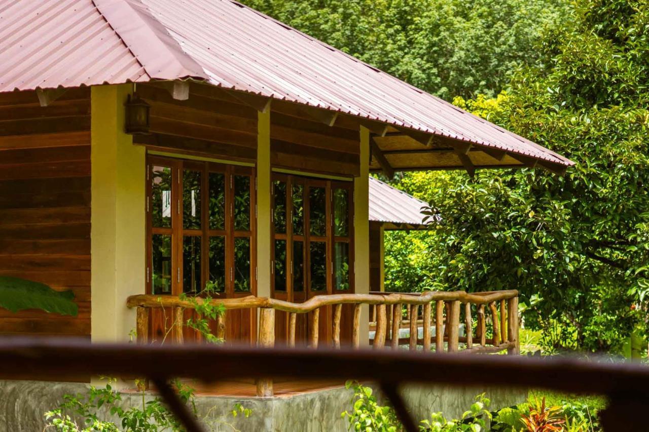 Monkey Mansion - Jungalows & Tours Khao Sok National Park Dış mekan fotoğraf
