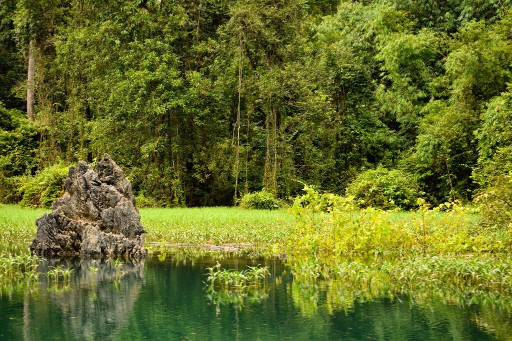 Monkey Mansion - Jungalows & Tours Khao Sok National Park Dış mekan fotoğraf